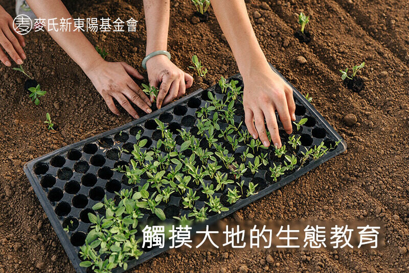 觸摸大地的生態教育｜麥氏新東陽基金會
